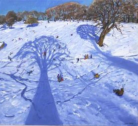 Chatsworth, sombras de árboles en invierno, 2013